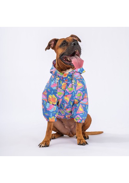 Dinosaurum Fileli Orta ve Büyük Irk Köpek Montu Köpek Yağmurluk Köpek Elbisesi Köpek Kıyafeti 6xl