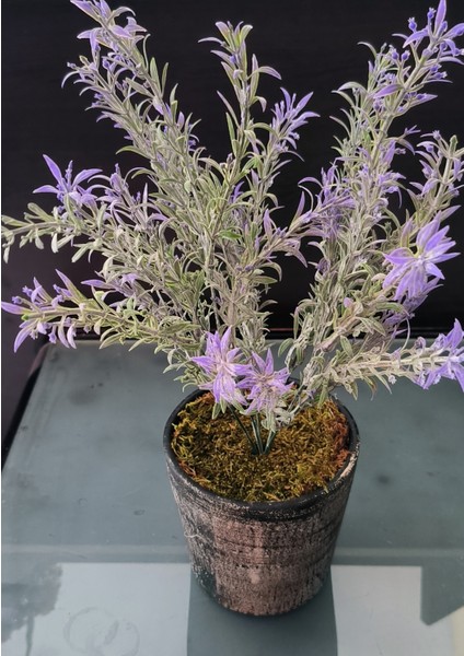 Rüzgar Yapay Çiçekçilik Seramik Saksıda Lavanta fiyatları