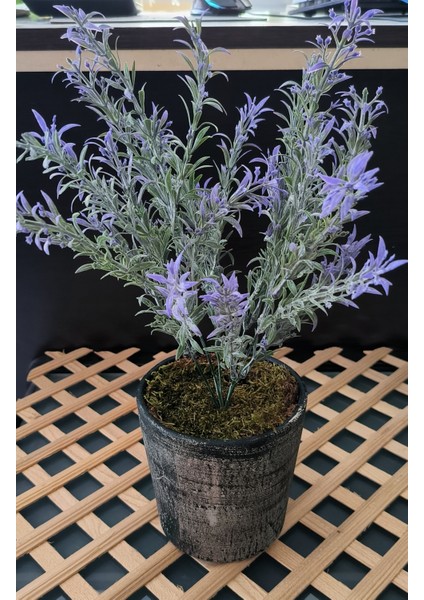 Rüzgar Yapay Çiçekçilik Seramik Saksıda Lavanta indirimleri