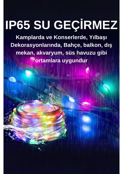 Rgb Peri Led, 10 Metre, 100 Led, USB Girişli, WS2812B Animasyonlu, Telefon Kontrollü, Kumandalı LED