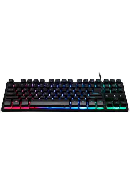 Nitro TKL Mekanik RGB Klavye Siyah GP.KBD11.02R