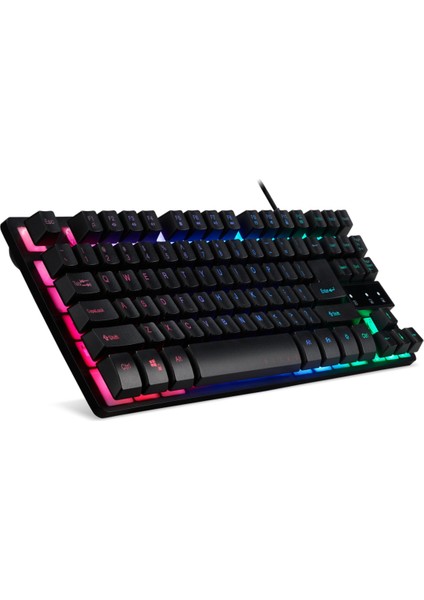 Nitro TKL Mekanik RGB Klavye Siyah GP.KBD11.02R