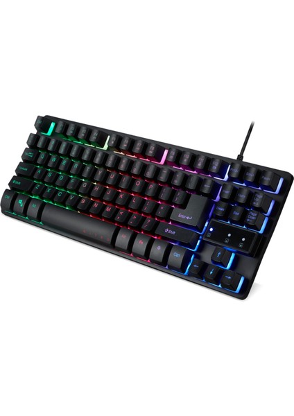 Nitro TKL Mekanik RGB Klavye Siyah GP.KBD11.02R