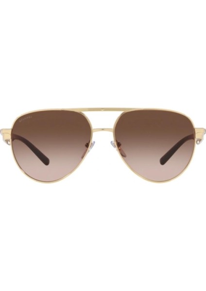 0BV6189 278/13 58 Unisex Güneş Gözlüğü