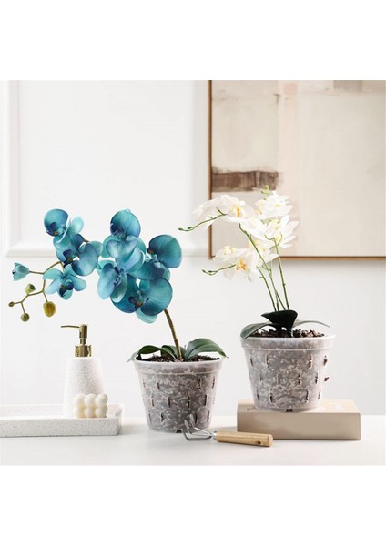 Orkide Saksıları - 7 Inç - 5 Saksı ve Tabaklar, Orkide Saksıları (Yurt Dışından)
