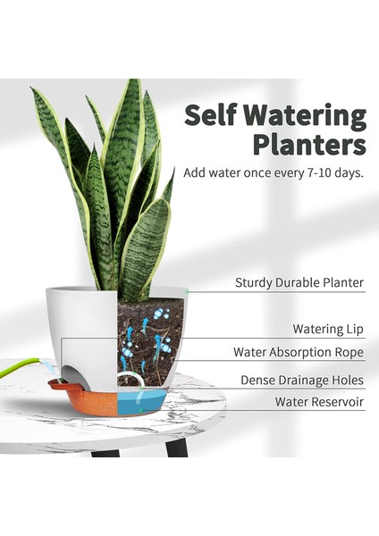 Bitki Saksıları 6 Inç Kendiliğinden Sulanan Ekiciler, Drenaj Delikli, 5 Adet (Yurt Dışından) indirimleri