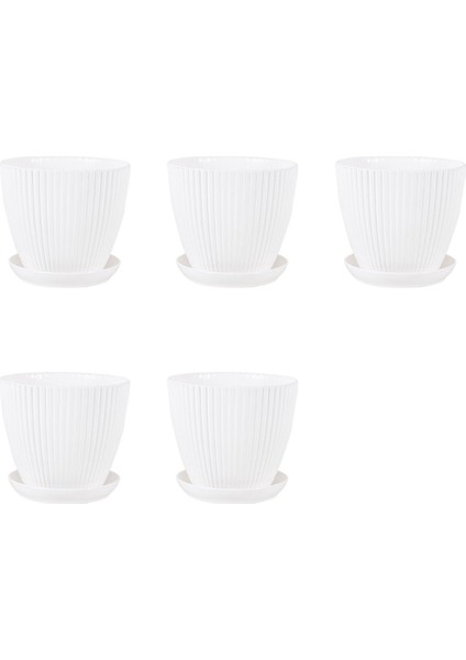 Bitkiler Için Plastik Ekici Saksılar, Kapalı A Için 5 Paket 6 Inç Saksılar (Yurt Dışından)
