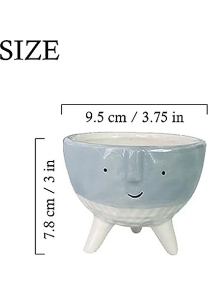 Etli Saksı Saksısı Paketi 2'li, Yüz Saksıları (Yurt Dışından)