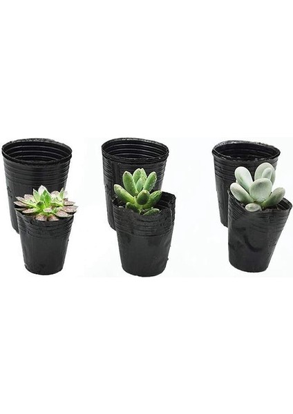 500 Adet Fide Saksısı Plastik Bitki Yayılım Kabı 8CMX8CM (Yurt Dışından) fiyatları