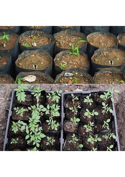 500 Adet Fide Saksısı Plastik Bitki Yayılım Kabı 8CMX8CM (Yurt Dışından) modelleri