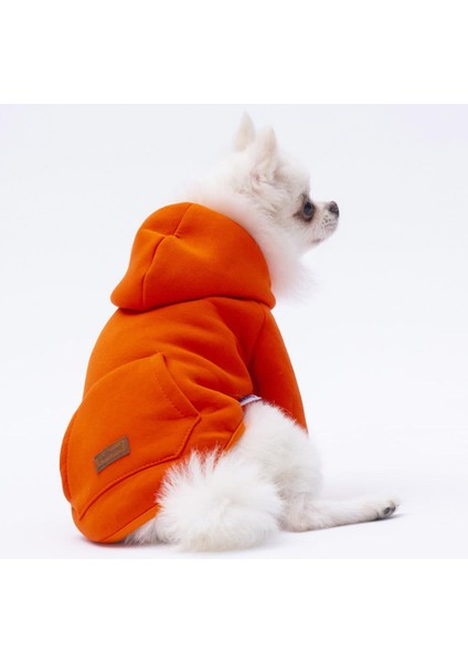 Turuncu Kanguru Cepli Kedi-Köpek Hoodie- Sweatshirt Kedi Köpek Kıyafeti
