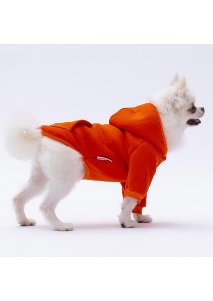 Turuncu Kanguru Cepli Kedi-Köpek Hoodie- Sweatshirt Kedi Köpek Kıyafeti