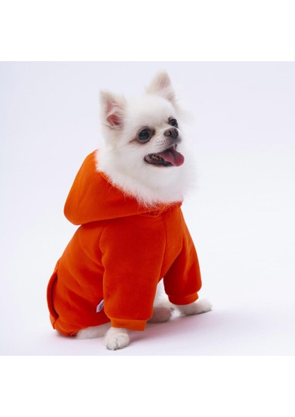 Turuncu Kanguru Cepli Kedi-Köpek Hoodie- Sweatshirt Kedi Köpek Kıyafeti