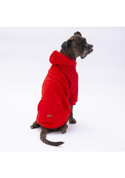 Kırmızı Kanguru Cepli Kedi-Köpek Hoodie- Sweatshirt  Kedi Köpek Kıyafeti