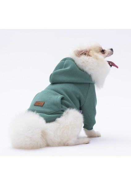 Çağla Yeşil Kanguru Cepli Kedi-Köpek Hoodie- Sweatshirt Kedi Köpek Kıyafeti