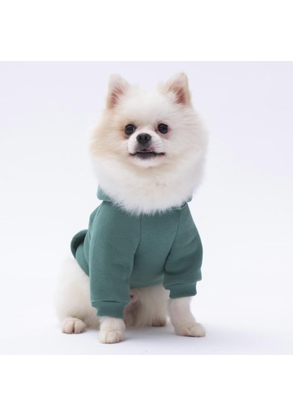 Çağla Yeşil Kanguru Cepli Kedi-Köpek Hoodie- Sweatshirt Kedi Köpek Kıyafeti fiyatları