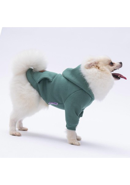 Çağla Yeşil Kanguru Cepli Kedi-Köpek Hoodie- Sweatshirt Kedi Köpek Kıyafeti modelleri