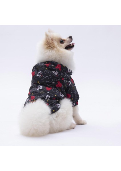 Mickey Mouse Mont Köpek Kıyafeti Köpek Yağmurluğu fiyatları