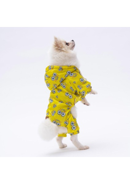 Sungerbob Tulum Yağmurluk Köpek Kıyafeti Köpek Yağmurluğu modelleri