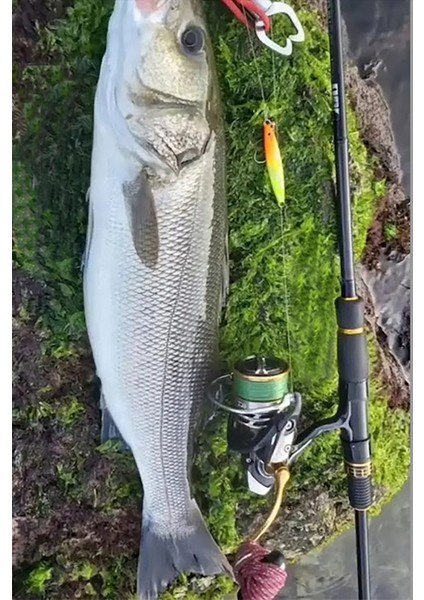 Sardin 60G - Sahte Yem Kaşık Rapala - Levrek, Palamut, Lüfer, Çinekop, Turna Için En Iyi Jig Yemi modelleri