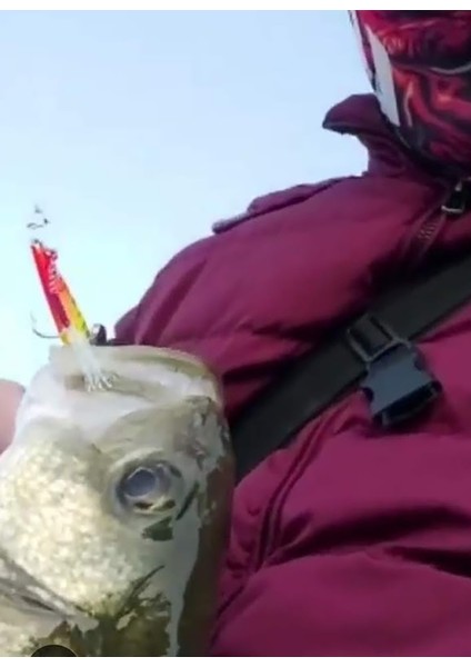 Sardin 60G - Sahte Yem Kaşık Rapala - Levrek, Palamut, Lüfer, Çinekop, Turna Için En Iyi Jig Yemi fırsatları