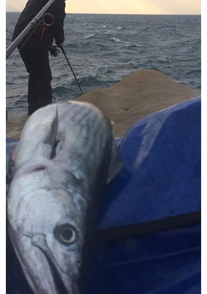 Sardin 60G - Sahte Yem Kaşık Rapala - Levrek, Palamut, Lüfer, Çinekop, Turna Için En Iyi Jig Yemi modelleri