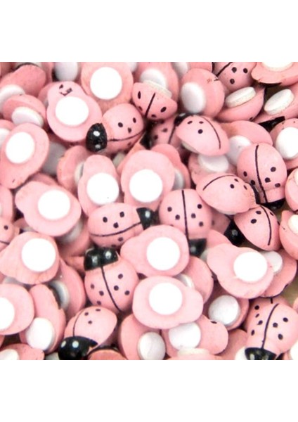 Pembe Uğur Böceği Yapışkanlı 100 Adet
