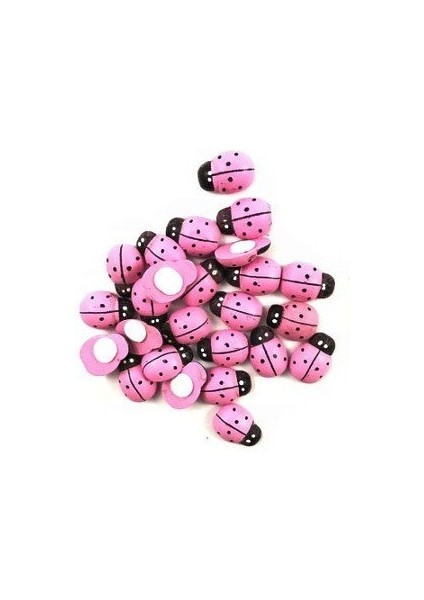 Pembe Uğur Böceği Yapışkanlı 100 Adet
