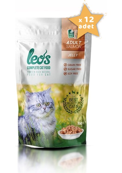 Leos Somonlu Yetişkin Kedi Yaş Maması Pouch 12x85 Gr