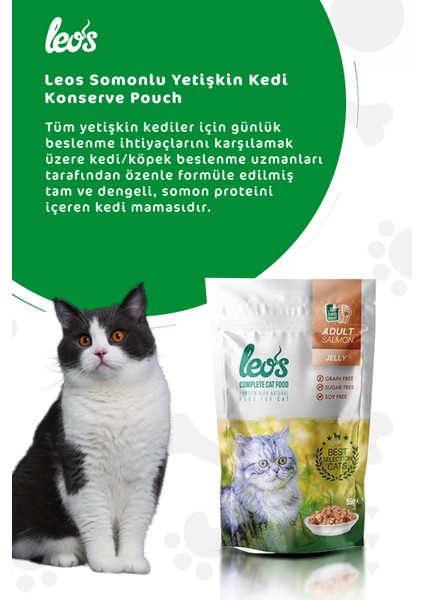 Leos Somonlu Yetişkin Kedi Yaş Maması Pouch 12x85 Gr