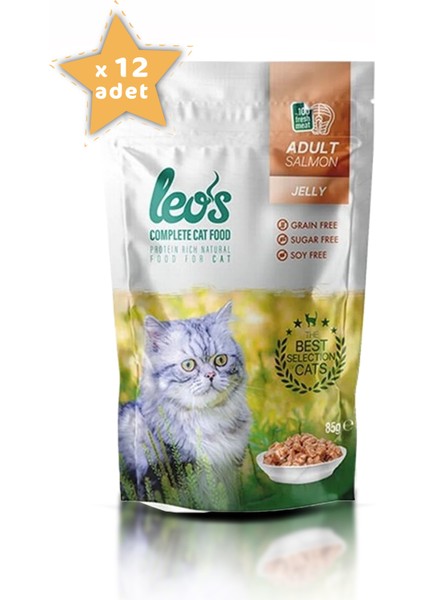 Leos Somonlu Yetişkin Kedi Yaş Maması Pouch 12x85 Gr