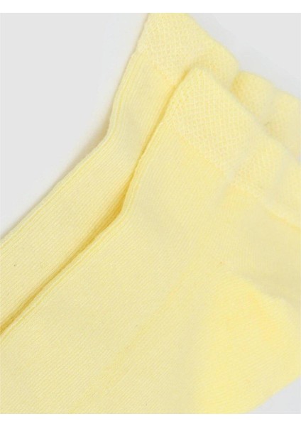 Kadın Çorap modelleri