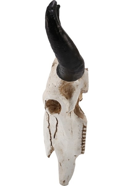 Reçine Longhorn Inek Kafatası Kafa Duvar Asılı Dekorlar 3D Hayvan Yaban Hayatı Heykel Figürler El Sanatları Boynuzları Ev Cadılar Bayramı Dekor (Yurt Dışından)