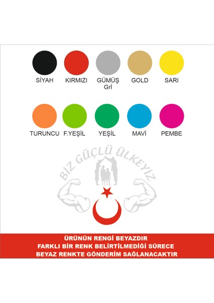 Biz Güçlü Ülkeyiz Sticker