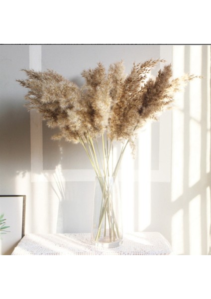 Doğal Gerçek Kurutulmuş Pampas Çim Buketi Kabarık Tüy Düğün Çiçeği (Yurt Dışından) indirimleri