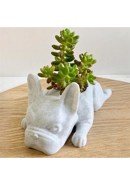 Bulldog Şekli Reçine Etli Ekici Mini Yavru Yavru Bitkiler Ekici (Yurt Dışından) fırsatları