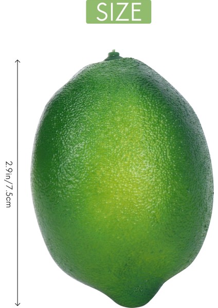 Yapay Limonlar ve Misket Limonları Ev Mutfağı Için Dekoratif Sahte Meyveler (Yurt Dışından) fırsatları