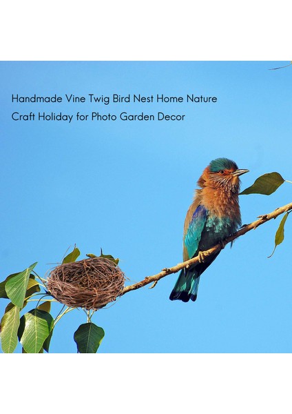 El Yapımı Asma Dal Kuş Yuvası Fotoğraf Bahçe Dekoru Için Ev Doğa Zanaat (Yurt Dışından) fırsatları