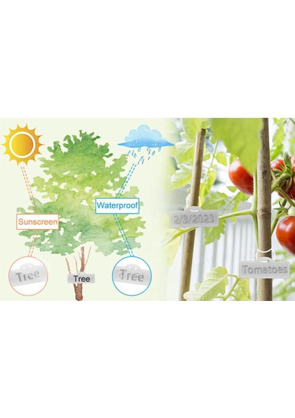 50PCS Alüminyum Bitki Etiketleri Ağacı Çift Taraflı Etiketler (Yurt Dışından)