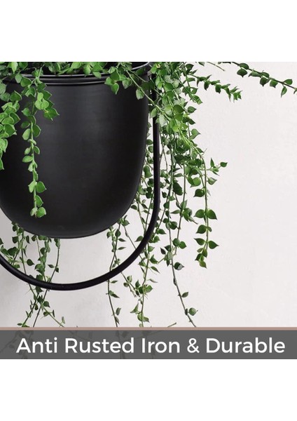 Inç Pot Asılı Bitki Tutucu ile 2 Paket Asılı Ekiciler (Yurt Dışından)