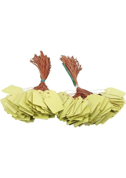200 Adet Bitki Asılı Etiket Su Geçirmez Plastik Etiketler Yeniden Kullanılabilir (Yurt Dışından)