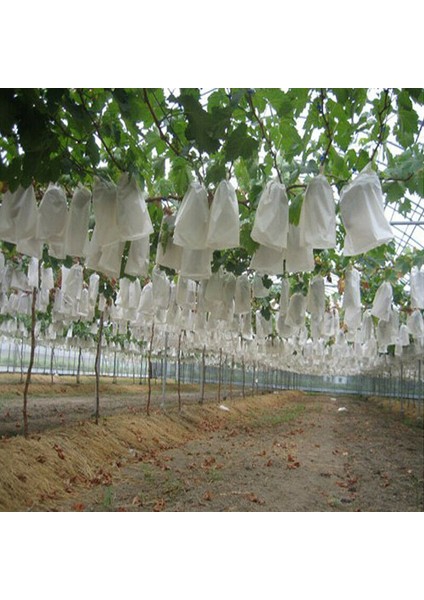100PCS Bahçe Tesisi Meyve Örtüsü Net Örgü Çantayı Böceklere Karşı Koruyun (Yurt Dışından) fiyatları