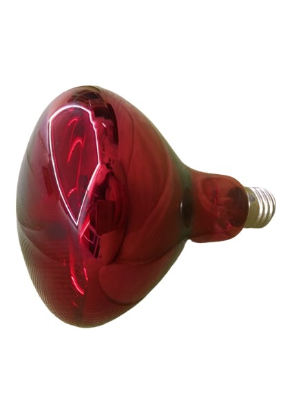 Infrared Civciv Isıtıcı 175 Watt