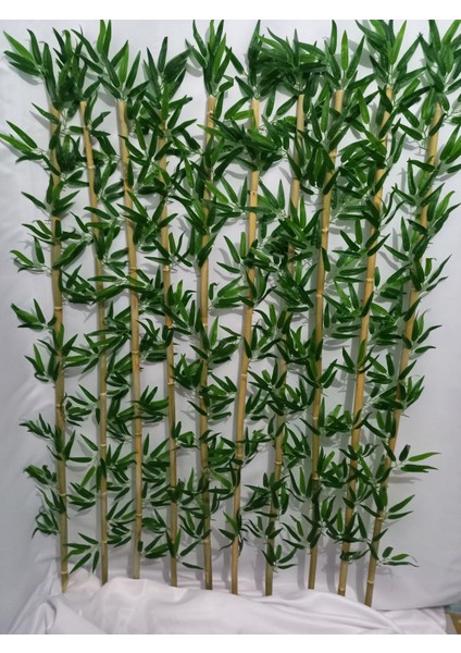 Bambu 90 cm 10'lu