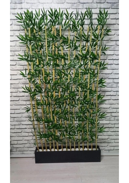 120 cm Saksida 200 cm 24 Adet Bambu Speratör