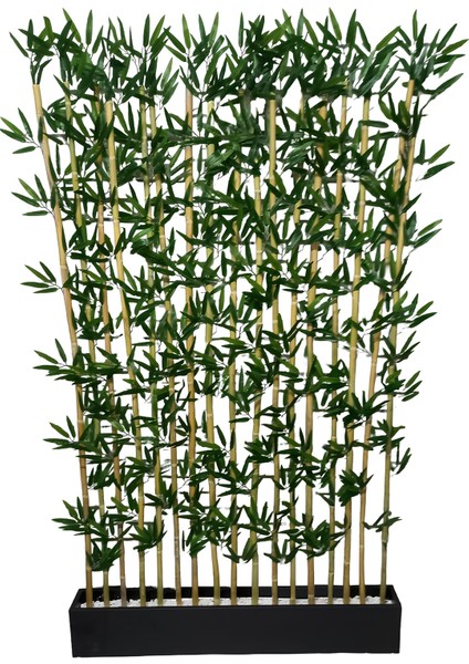Bambu Speratör 100 cm Saksıda 190 cm Bambu 20 Adet