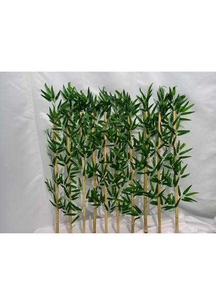 Bambu 200 cm 16'lı