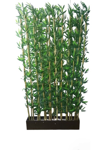 100 cm Saksıda 200 cm Bambu Speratör 15 Li