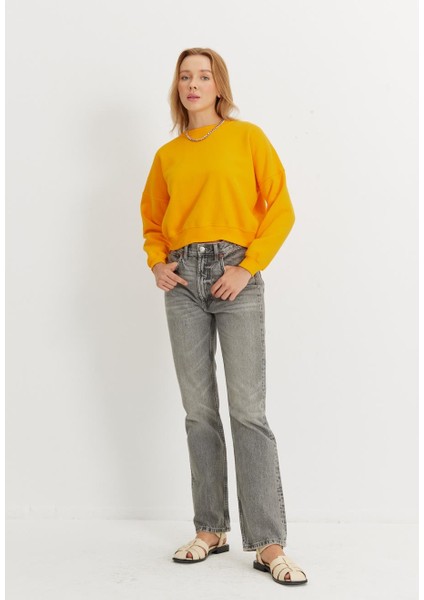 Kadın Kayısı Basic Kısa Sweatshirt