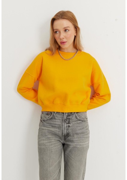 Kadın Kayısı Basic Kısa Sweatshirt fırsatları